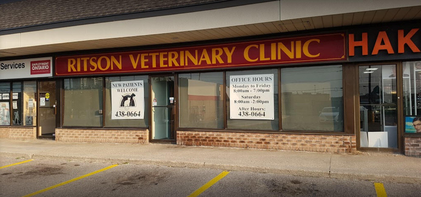 ritson veterinary clinic